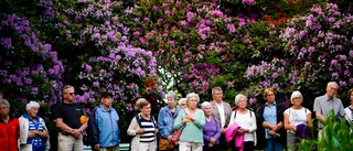 Vandring i blommande Katrineholm