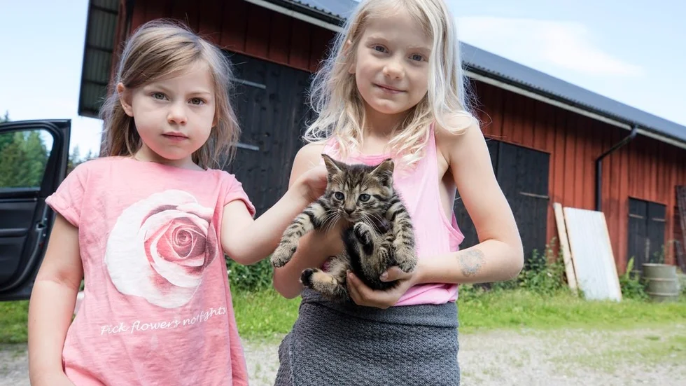 Daphne Folkman, 4, och kusinen Alisa Folkman, 7, gillar livet på landet och att få chansen att gosa med grannens små kattungar.