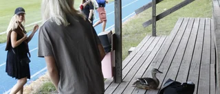 Drama inför ANDra halvlek – när Uppsala tog bekväm seger