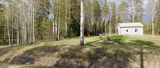 80 000 kronor för tomt i Niemisel