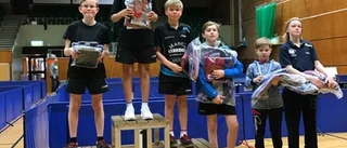 Tolvårigt pingislöfte tog medalj på SM