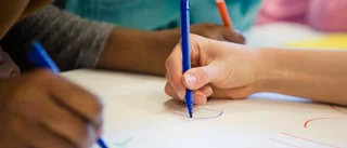 Skolgranskning: Grönt ljus för Trosa-skolor