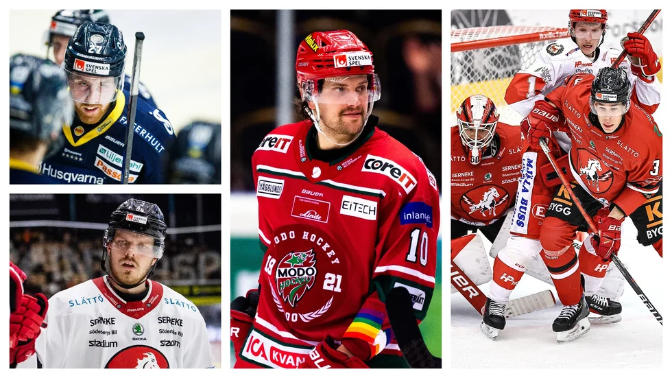På det berömda papperet har Vita Hästen ett av sina bästa lag under åren i hockeyallsvenskan.