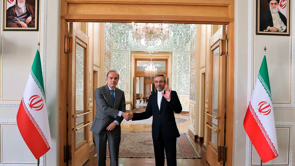 EU:s representant Enrique Mora och Irans chefsförhandlare Ali Bagheri Kani vid ett möte i Teheran i maj i år.