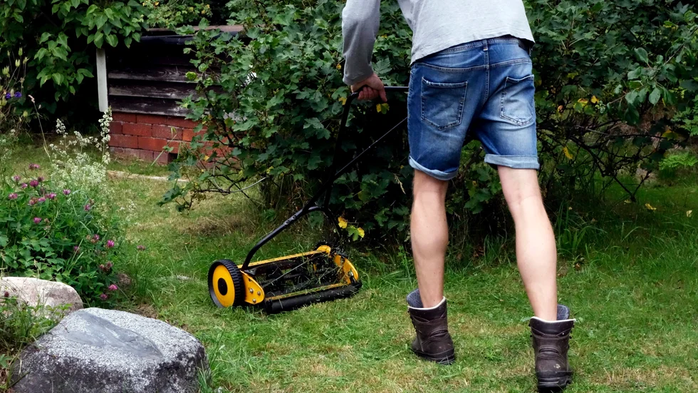 Klipp inte allt gräs i sommar. Tänk på den biologiska mångfalden. 