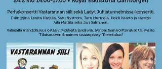 Så kan du fira Sverige-finnarnas dag i Eskilstuna