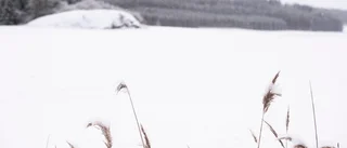 SMHI:s prognos: Snön är här för att stanna