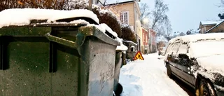 Snön föll - i år igen!
