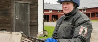 Häst från Lid imponerar: "han har en vinnarskalle"