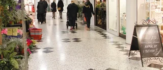 Ungdomar åtalade efter hot och attacker med vapen i Präntaren
