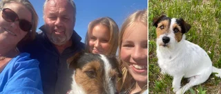 Hunden Eddie fastnade i rör – fick räddas med grävmaskin