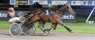 V64 på Mantorp – här är Tomas Thells tipsdrag          