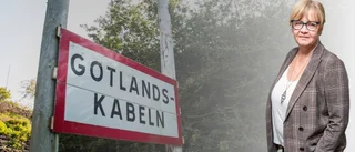 "Lägg ner det politiska spelet kring elkabeln"