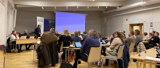 Självklart ska politiker ha bra betalt