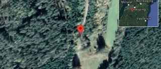 Fallna träd skapar problem i trafiken