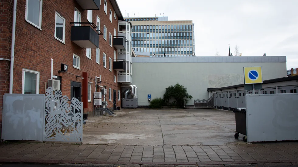Här på en bakgård på Tullgatan i centrala Luleå sköts älgkalven.