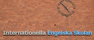 Engelska skolans vd slutar: "Inte med granskning att göra"