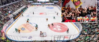 Åker över 300 mil för att stötta sitt lag – i viktiga matcherna