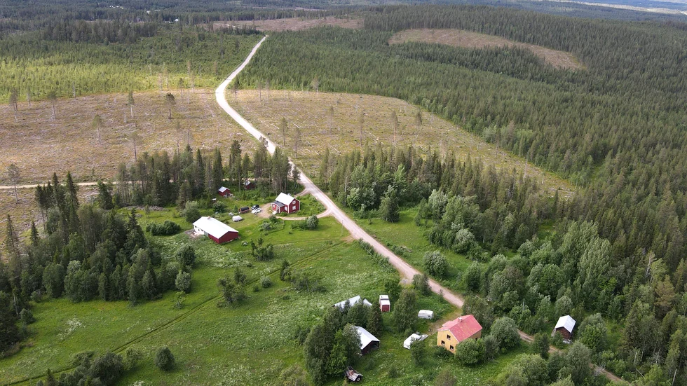 "Puola Ragnar" och Astrid Karlsson, samt "Puola Ville" och Annikki Karlsson, Puolalaki.