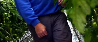 Vintertrötthet ger köprusch