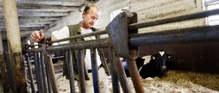 "Att tiga bort olyckorna är inte rätt sätt"
