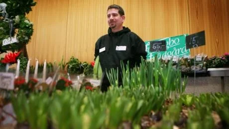 Julblommor. Patrik Roos hade laddat upp med blandat grönt.