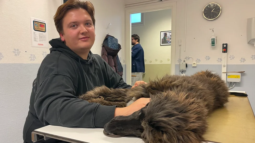 – Det stillar sinnena att få bekräftat redan på kvällen att det inte är något allvarligt, säger Zakarias Lundmark, som kunde kontakta kliniken kvällstid.