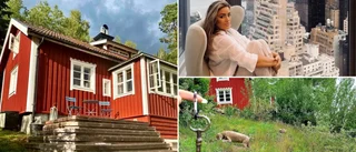 Bytte Söderköping mot New York – har nu köpt drömstugan i Gryt