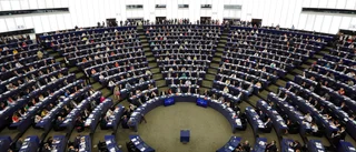 Partierna satsar på stjärnglans i EU-parlamentet