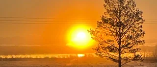 Läsarbilden: Vacker morgon i Luleå              