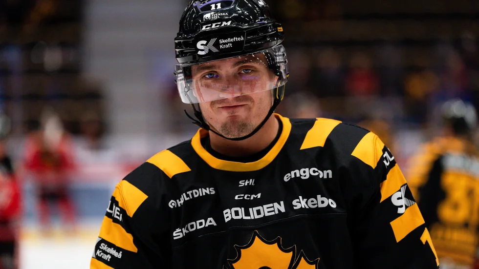Max Lindholm har inlett samtal med Erik Forssell om ett nytt kontrakt med Skellefteå AIK.
