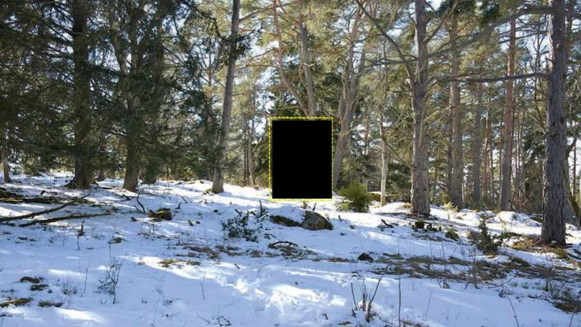 Här, på en höjd i en skog i Hjälstavikens naturreservat, hittades det 26-årige offret hängd i ett träd. Bild ur polisens förundersökning.
