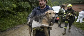 Flera döda i jordskred i Colombia