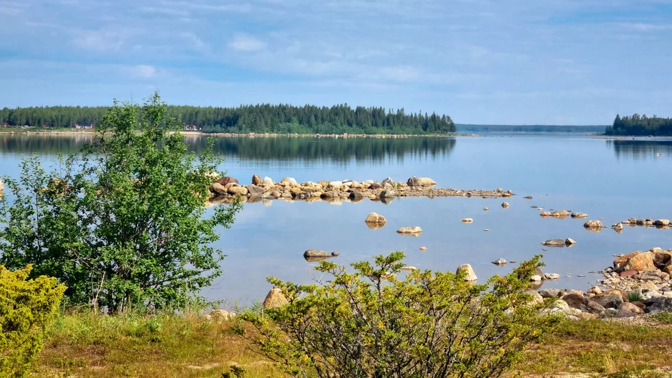Dagens läsarbild.