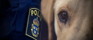 Polisanmälan: "Låter hunden bajsa och kissa på altanen" 