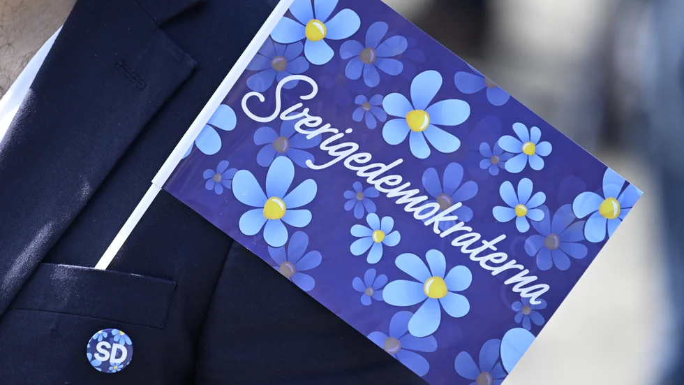När Sverigedemokraterna i debattinlägg efter debattinlägg vill koppla studieförbunden till fel och fusk så gör de det för att skada studieförbunden, menar Johanna Iggsten.