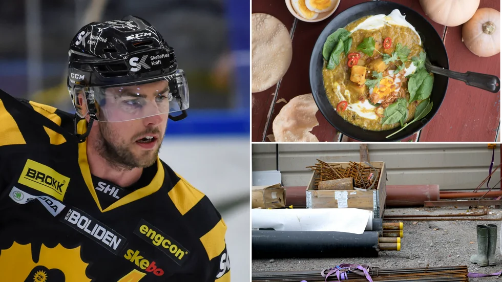 Hockey, indisk mat och bygg är några områden som nystartade bolag i Skellefteå ska verka inom.