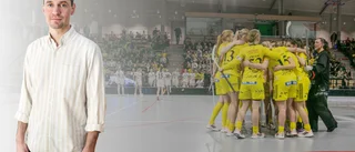 Frågan är om Endres ambition rimmar med verkligheten 