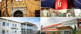 LISTA: Företagen som betalar bäst löner på Gotland