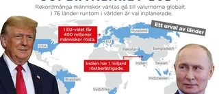 2024 är ett supervalår: Miljarder väntas rösta