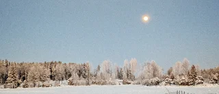 Omtanke, brysselkål och avbokad tomte – nu går livet vidare