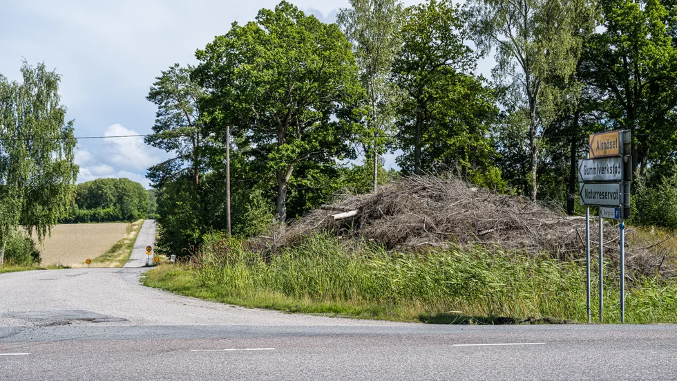 En 14-årig pojke hittades död utomhus i Nynäshamn i somras. En man skriven i Uppsala har nu häktats för mordet. 
