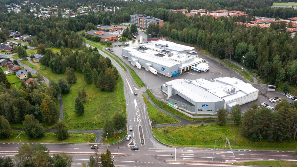 Vad händer med tomten när Norrmejerier flyttar till Umeå om 18-24 månader? Vi lät bergnäsare fundera kring framtidsvisioner och önskedrömmar.   