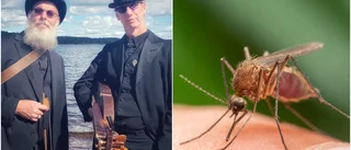 Myggplåga och väder – utomhuskonsert flyttas in