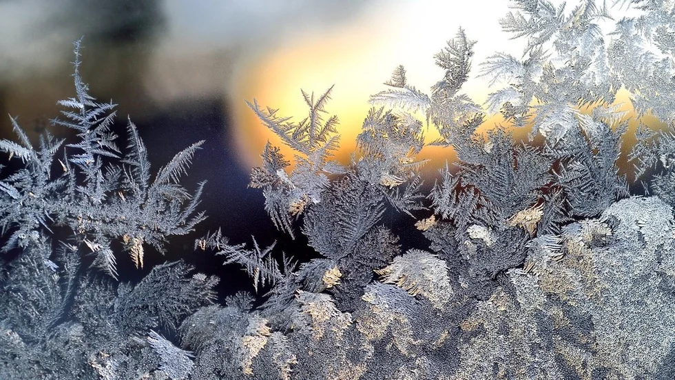Några glädjebesked om snö på julafton verkar osannolikt, enligt SMHI.