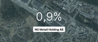 NG Metall Holding AB på rätt sida strecket