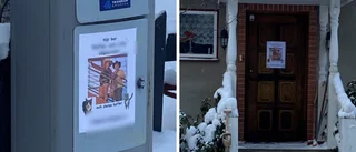 Vem hade inte gjort som Petter och Lilly i Lövstalöt?