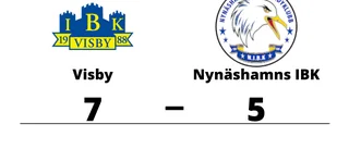 Visby segrare hemma mot Nynäshamns IBK