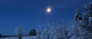 Inger Keskitalo, Teurajärvi, fångade in månen på magiskt vis