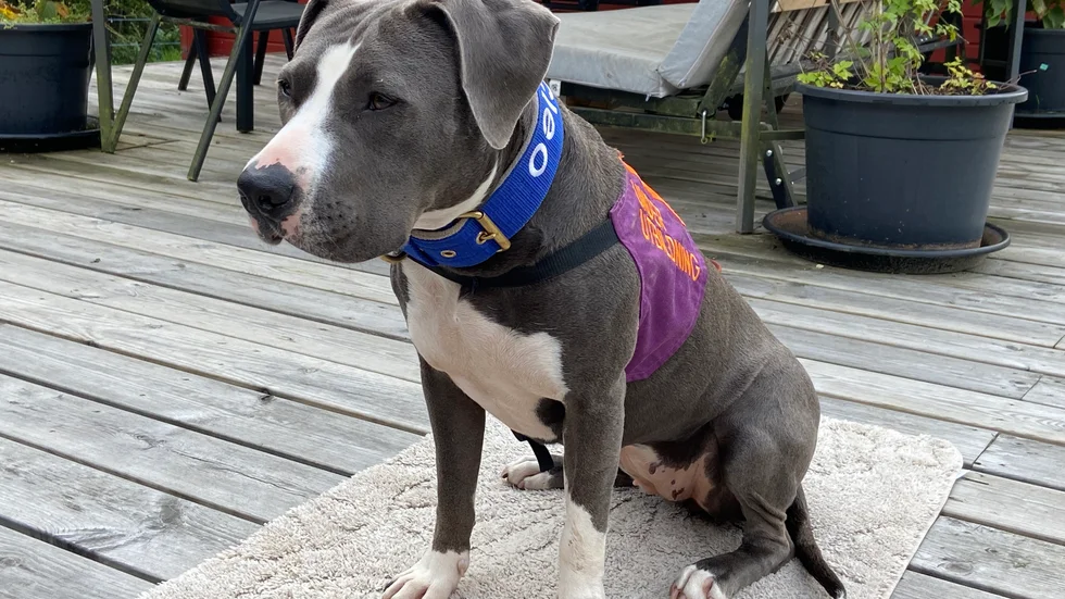 Cleo i sina arbetskläder bestående av halsband och väst. 